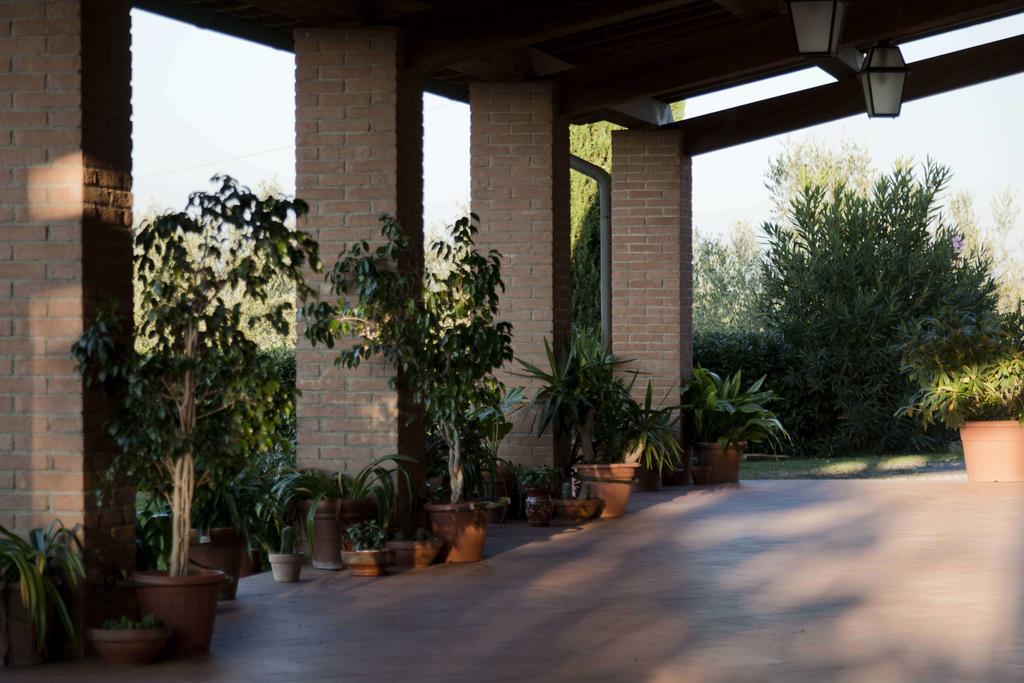 Tenuta Di Colle Alberti Agriturismo Villa Cerreto Guidi Exterior foto
